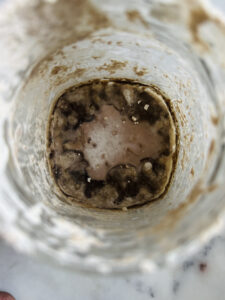 this sourdough starter looks very gross. some very dark film on the top it it and some white looking stuff too. it is not mold but it looks gross. the sourdough starter had a lot of water when it was fed, so the top of the sourdough starter did not harden. there is also sourdough crust on the sides of the jar. the is a more focused photo